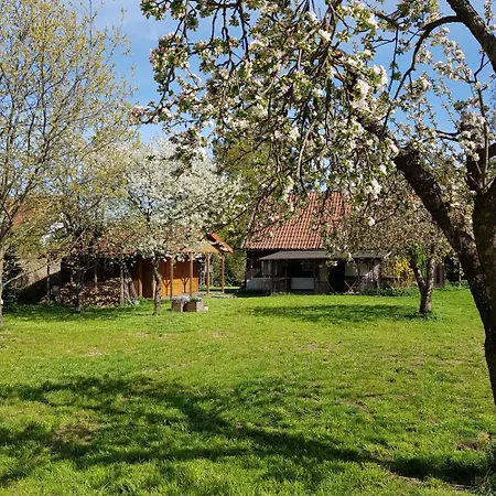 Siedlisko Sojka Holiday home *